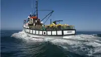Trawler dijual