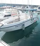 Kapal pesiar untuk dijual