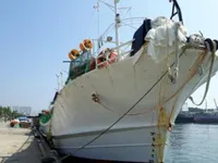 Kapal penangkap cumi-cumi untuk dijual