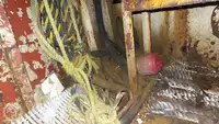 Kapal tunda untuk dijual