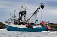 Kapal pukat cincin untuk dijual