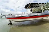 Amfibi untuk dijual