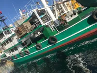 Kapal pukat cincin untuk dijual