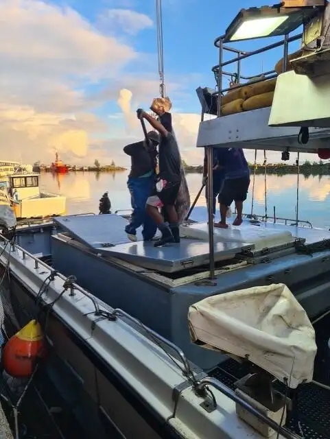 Kapal pukat untuk dijual