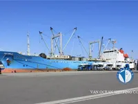 kapal karang dijual