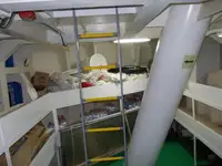 Kapal pengangkut barang curah untuk dijual