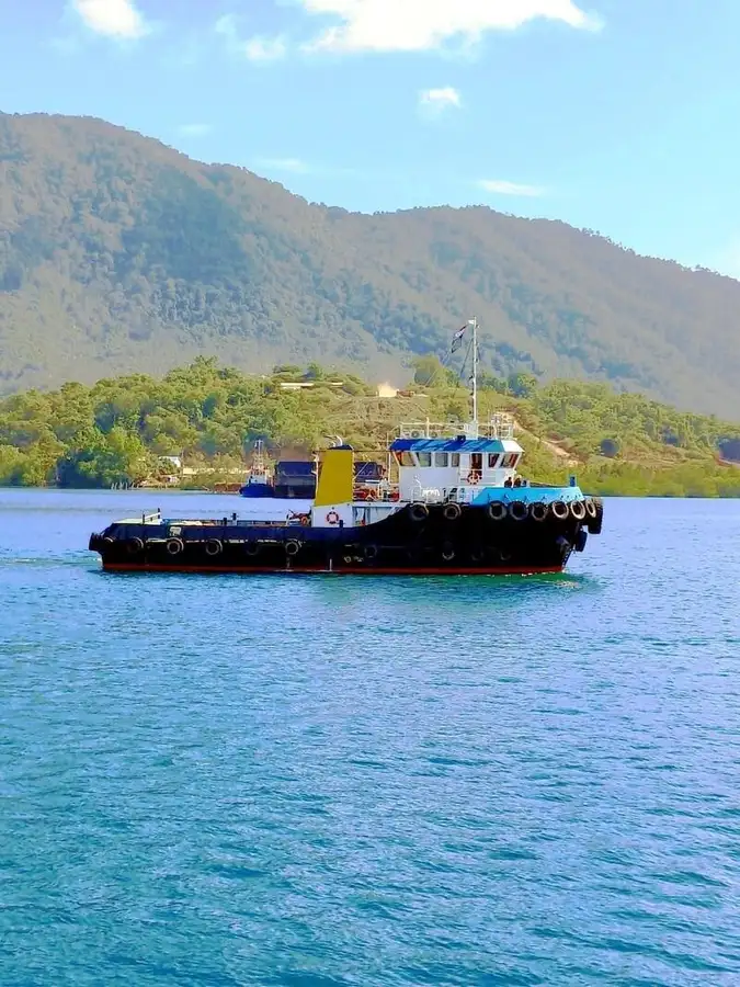 Kapal tunda untuk dijual