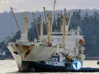 Kapal pendingin untuk dijual