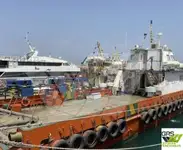 Kapal layanan ladang angin untuk dijual