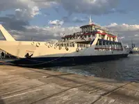 Ro-Ro ship dijual