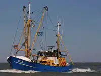 Kapal pukat untuk dijual