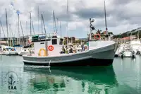 Kapal pukat untuk dijual