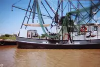Kapal pukat untuk dijual