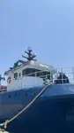 Kapal pukat untuk dijual