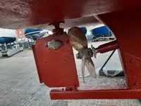 Kapal cutter untuk dijual