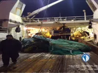 Kapal pukat untuk dijual