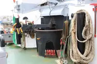 Kapal tunda untuk dijual