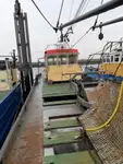 Kapal pukat untuk dijual