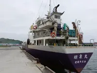 General Cargo/Multi-purpose untuk dijual
