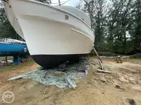 Kapal pukat untuk dijual