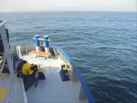 Kapal pendingin untuk dijual