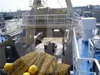 Kapal pengangkut ikan hidup untuk dijual