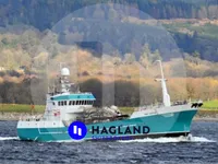 Kapal untuk Akuakultur / Budidaya Kerang untuk dijual