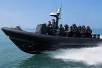 Perahu karet kaku untuk dijual