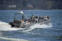 Perahu karet kaku untuk dijual