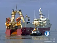 Kapal pukat untuk dijual