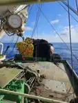 Kapal pukat cincin untuk dijual