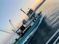 Kapal pukat cincin untuk dijual