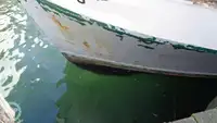 Kapal pukat untuk dijual