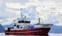 Kapal pukat kantung untuk dijual
