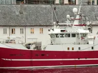 Kapal pukat cincin untuk dijual