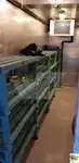 Kapal pesiar untuk dijual