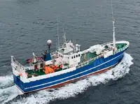 Kapal pukat untuk dijual