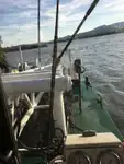Kapal keruk untuk dijual