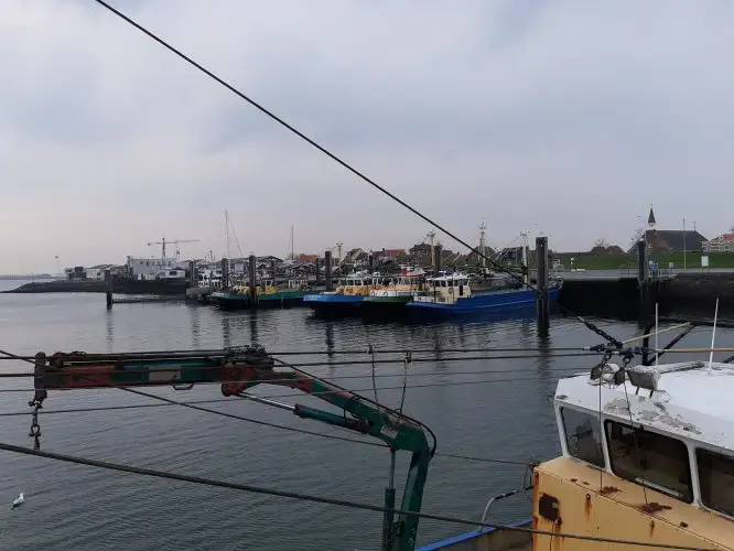 Kapal pukat untuk dijual