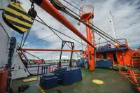 Kapal kontainer untuk dijual