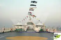 Kapal Ro-Ro untuk dijual