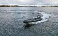 Perahu karet kaku untuk dijual