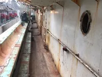 Kapal penangkap cumi-cumi untuk dijual