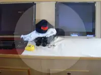 Kapal pukat untuk dijual