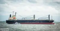 Kapal pengangkut barang curah untuk dijual