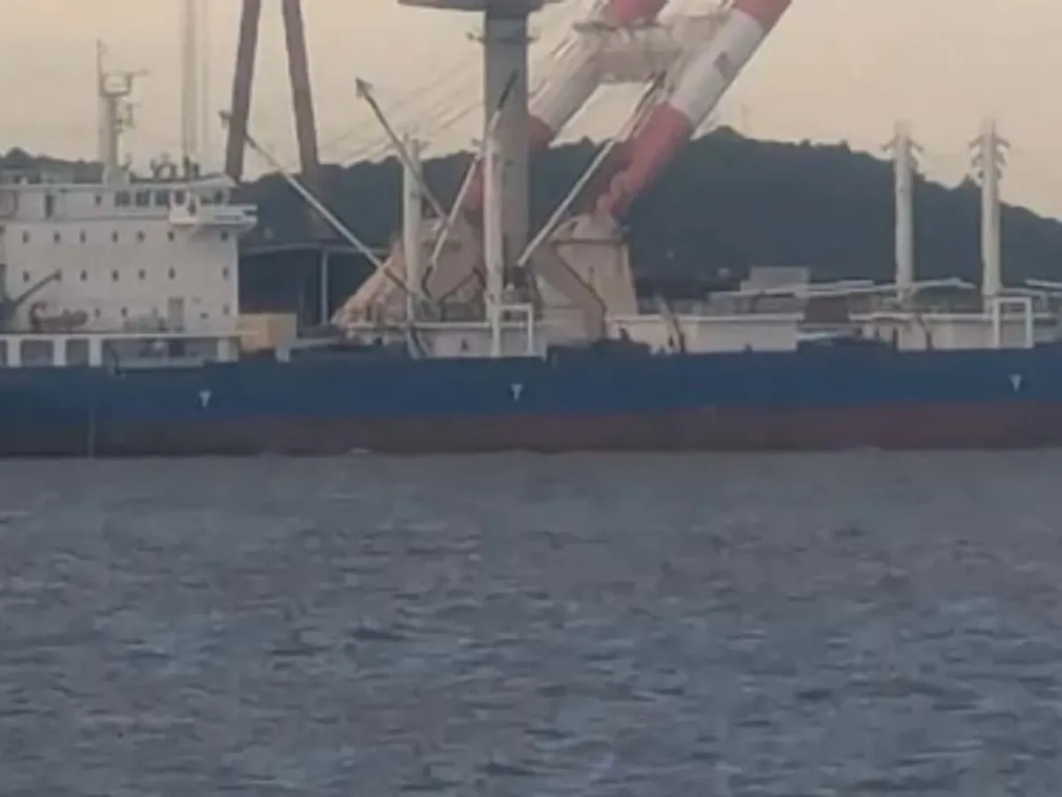 Kapal pendingin untuk dijual