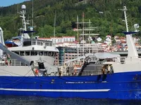 Kapal pukat cincin untuk dijual