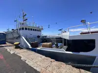 Kapal pukat untuk dijual