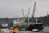 Kapal pengangkut barang curah untuk dijual