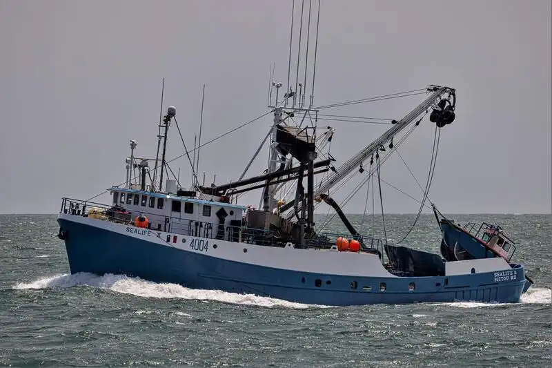 Kapal pukat cincin untuk dijual